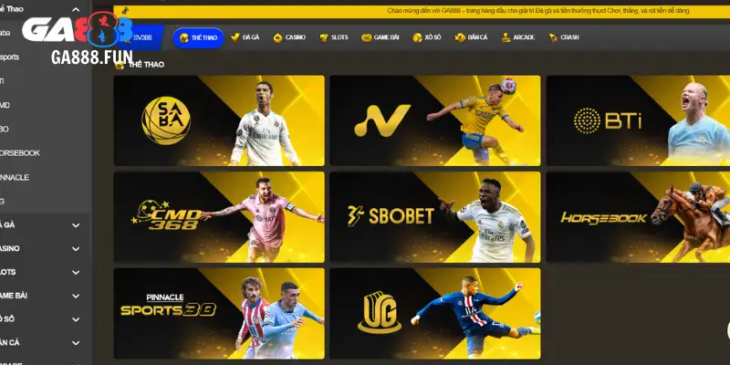 Sứ mệnh cao cả, định hướng giới thiệu