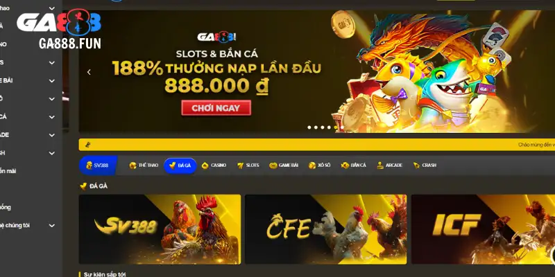 Giới thiệu cùng hành trình thành công